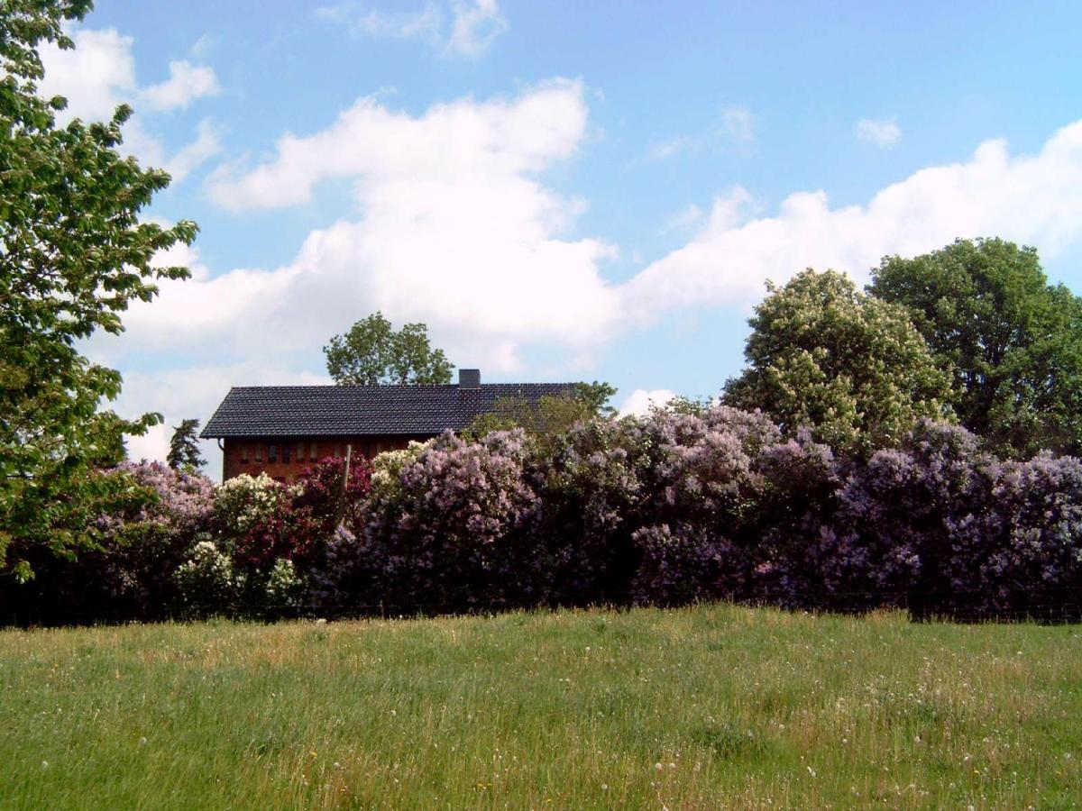 Hof Georgenhoehe Lychen Esterno foto